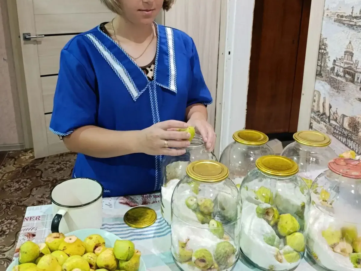 Помощь в сборе урожая