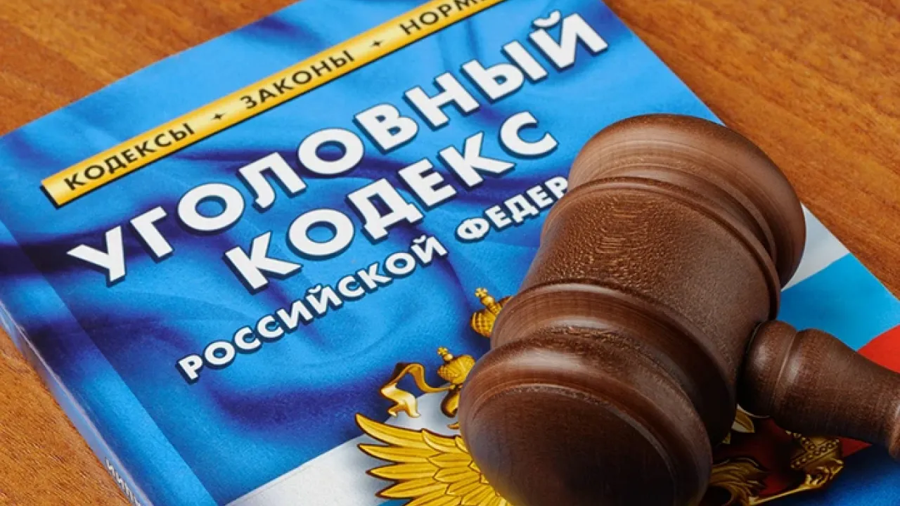Двое приезжих получили по три года колонии за разбойное нападение на нижегородку